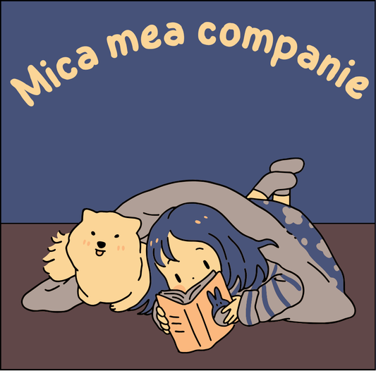 Carte, Mica mea companie