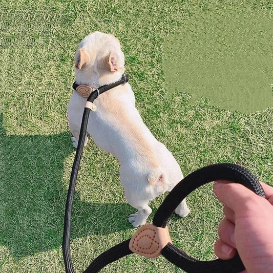 Lesă Slip Rope Heavy Duty – Dresaj și Plimbare